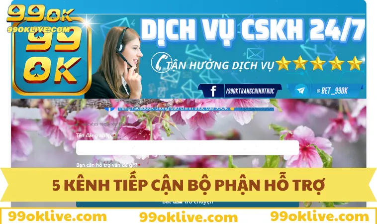 Liên Hệ 99OK 128 5 gợi ý hữu ích để tiếp cận bộ phận hỗ trợ