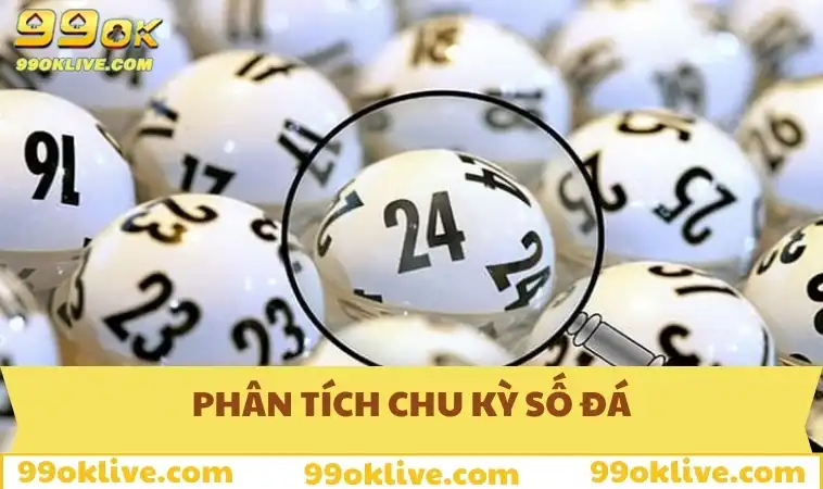 Phân tích chu kỳ số đá