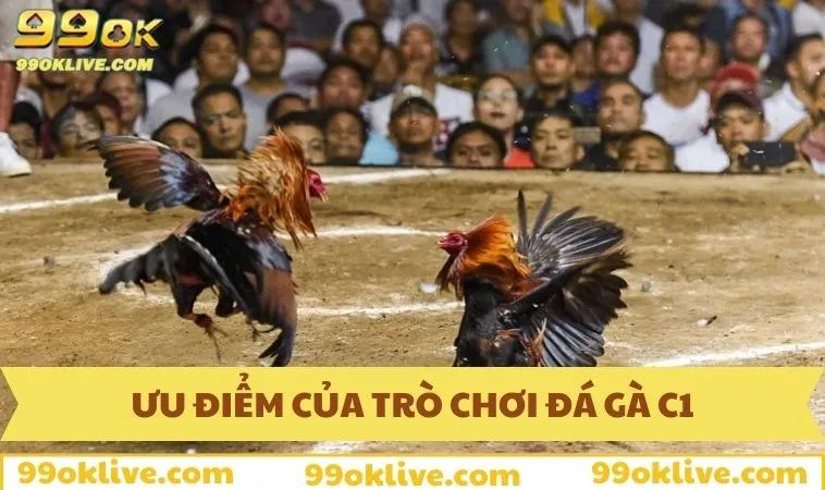 Các yếu tố đặc biệt của loại hình đá gà C1